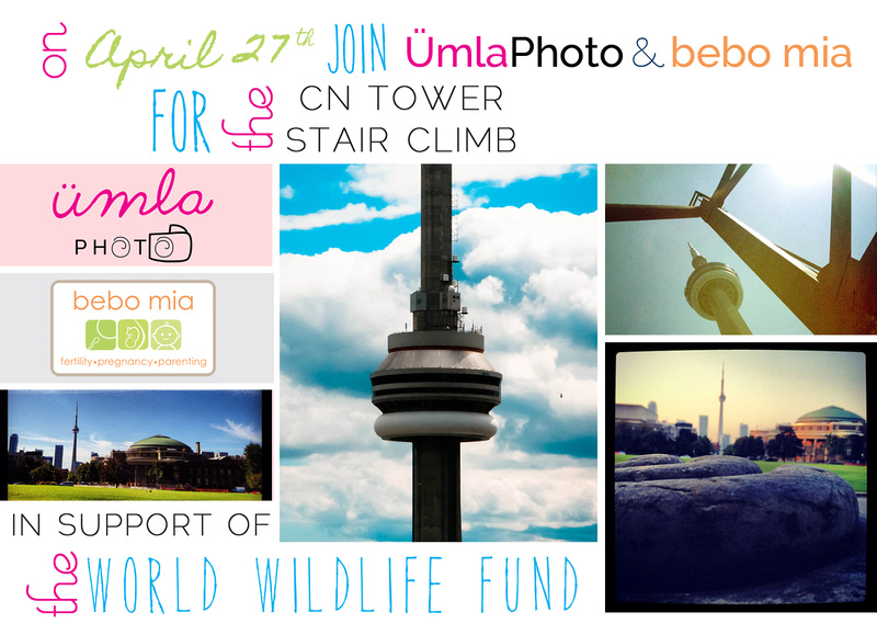 UmlaPhoto and Bebo Mia CN Tower Climb Poster