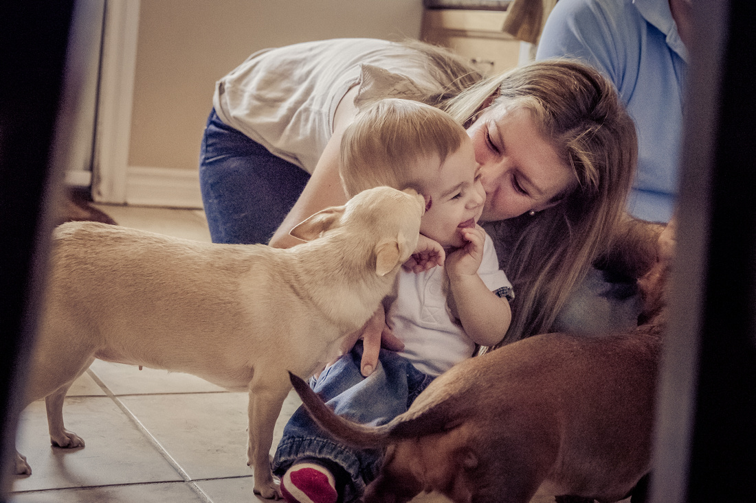 Boy getting kisses from mommy and dogs (www.umlaphoto.com)